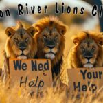 What We Do - Our Services 15 Iron River Lions Club Needs Your Help