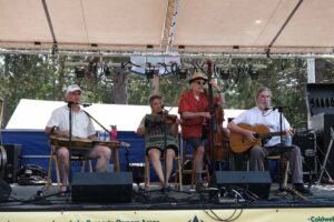 Blueberry Festival 2024 Iron River WI