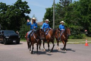 Blueberry Festival 2024 Iron River WI