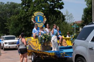 Blueberry Festival 2024 Iron River WI