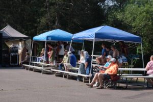 Blueberry Festival 2024 Iron River WI