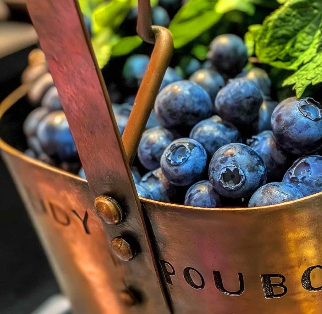 Blueberry Festival, Iron River WI